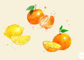 Watercolor hand drawn illustration set of whole and half citrus tropical fruit with paint splashes.