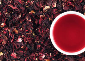 Cup of hibiscus tea on the leaves, panorama