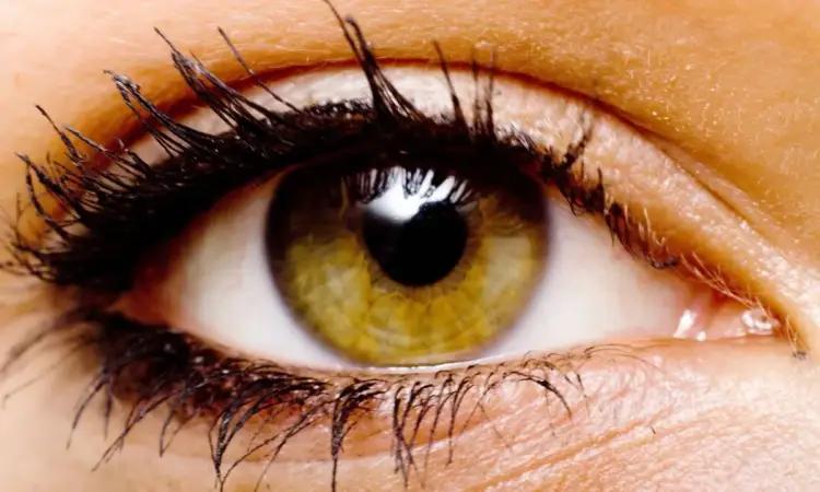A keni sy ngjyrë lajthie  Zbuloni se çfarë tregon kjo për ju dhe personalitetin tuaj