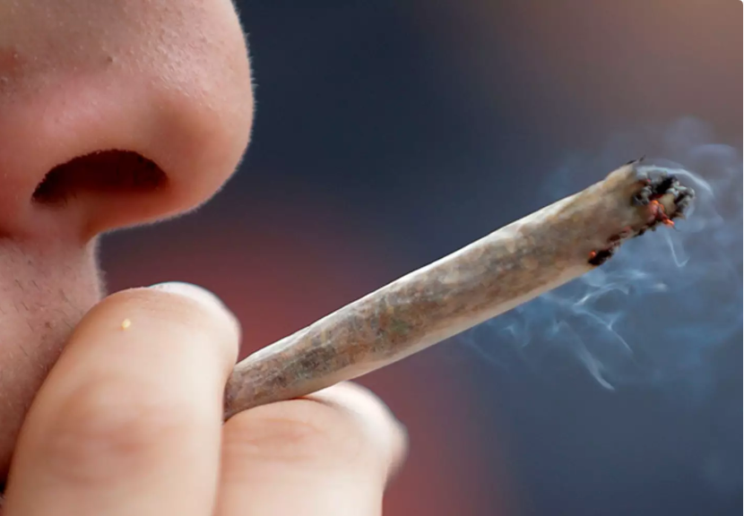 Efekti anësor i kanabisit që po mbush spitalet  mjekët japin alarmin