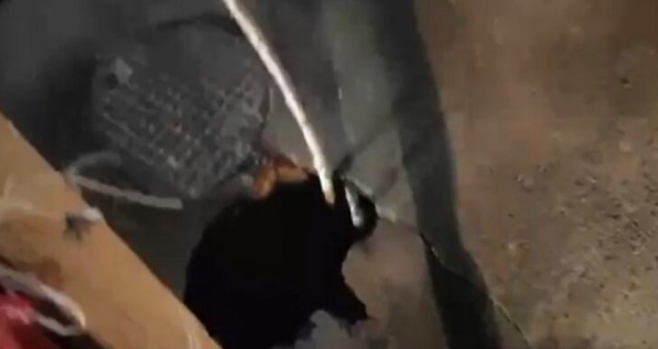 Hapet një gropë në rrugën Obiliq Prishtinë