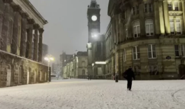 13 viktima nga acari në Evropë