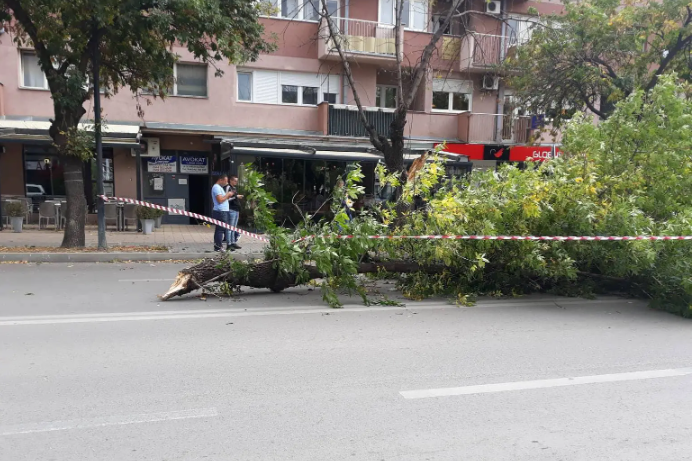 Paralajmërohen erëra të forta në kryeqytet  bëhet thirrje për kujdes