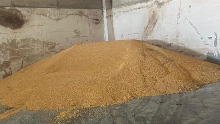 Serbia  hakmerret  pas rastit të misrit të kontaminuar  bllokohen 20 kamionë me fruta nga Shqipëria