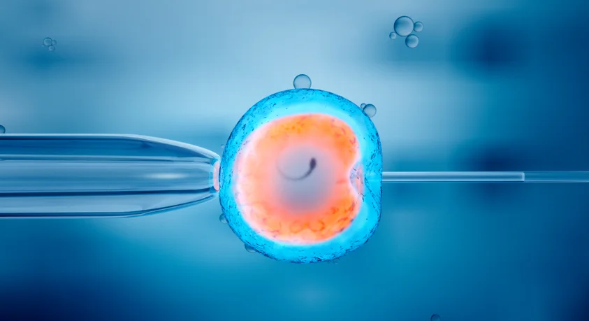 Kryhen 12 procedura të IVF së në QKUK