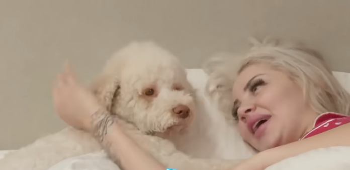 Do të shkriheni së qeshuri me emrin e Instagramit të Belles së Benitës