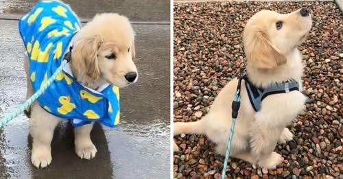 ky-qen-doli-per-here-te-pare-ne-shi-pamja-eshte-teper-e-embel