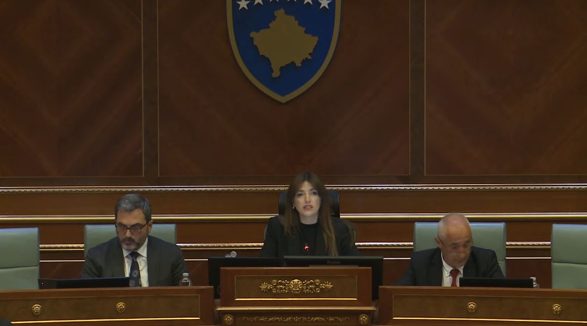 Seanca plenare nis me kujtimin e demonstratave të pranverës së  81 ës