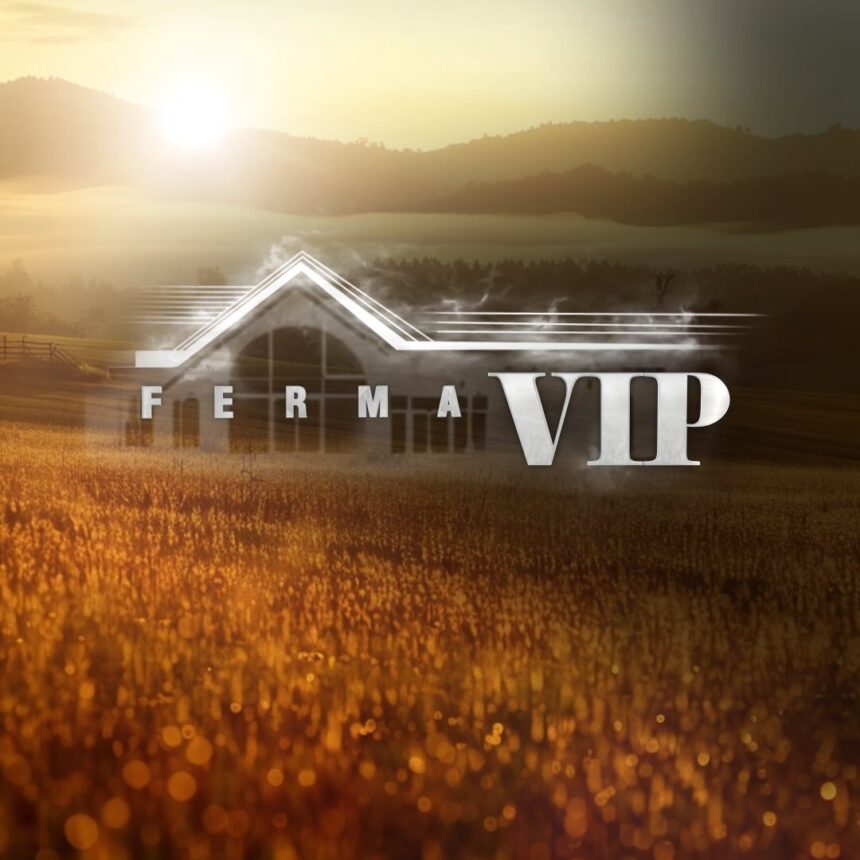 Ndodh edhe kjo  Lopa i  ha  fermeres unazën e diamantit