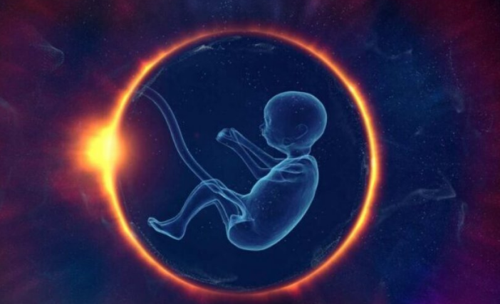 Si ndikojnë fibromat e mitrës në fertilitet 