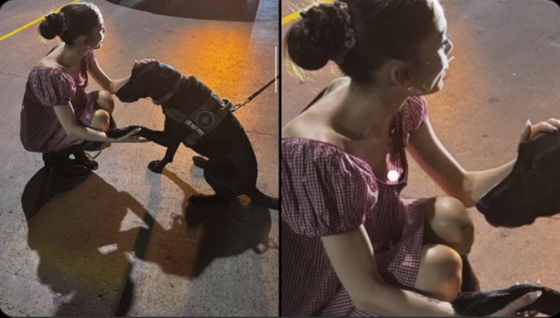 Ariana Grande humb vetëdijen në foto? Fansat zbulojnë detajin e papritur! 