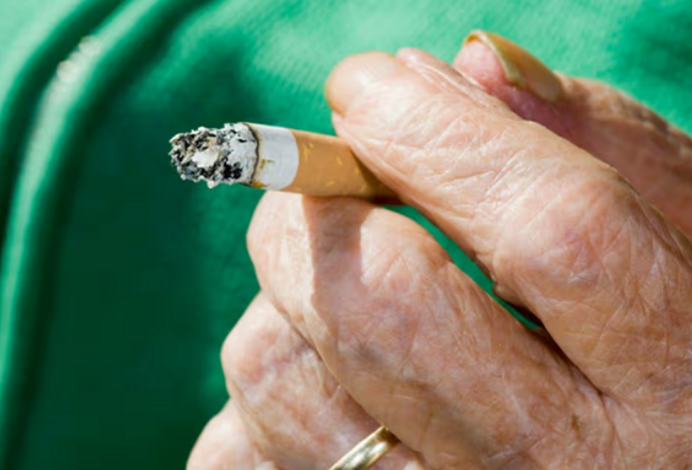 Plaka sfidon zjarrfikësit në Spanjë  Hidhte bishta cigaresh drejt zjarrit që sapo ishte shuar