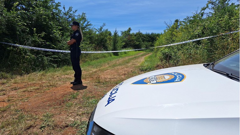 Tragjedi ajrore në Kroaci  Katër të vdekur pas rrëzimit të një aeroplani