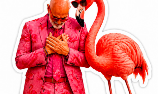 Mbush 62 vjeç  Rama poston foto me flamingon  Faleminderit për urimet  urrejtësit  provë që s po jetoj kot