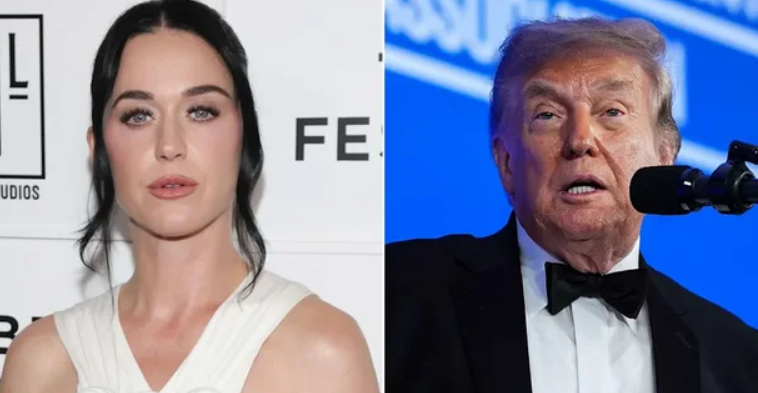 Katy Perry kundër Shtëpisë së Bardhë: "Nuk e miratoj përdorimin e këngës Firework"
