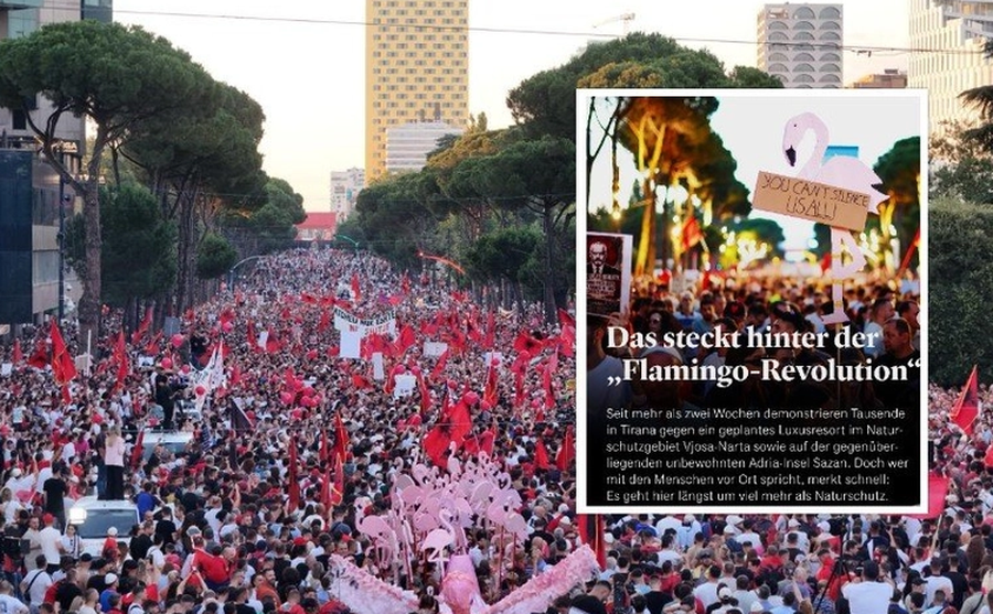 Të pathënat e  flamingove   a po kthehen protestat në një revolucion permanent 