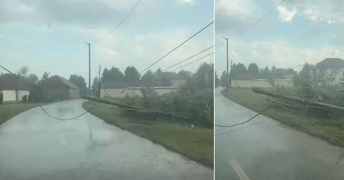 Shiu i rrëmbyeshëm shkakton dëme në Istog  rrëzohen lisa dhe shtylla elektrike