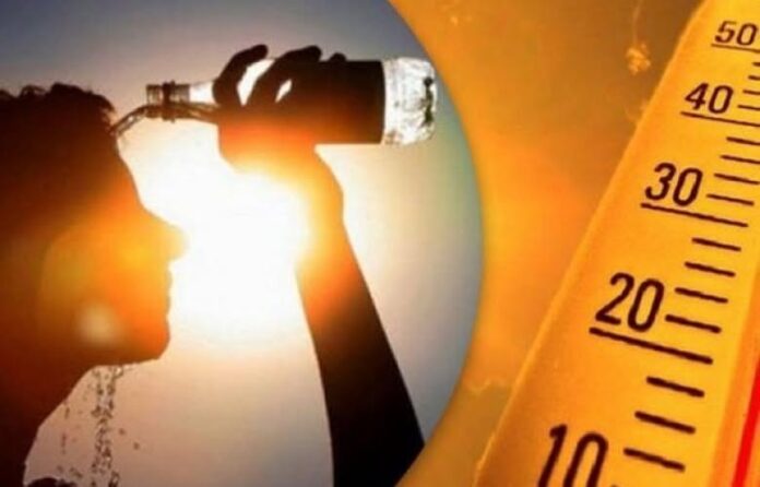 Deri në 36 gradë Celsius   ky është parashikimi i motit për javën e ardhshme