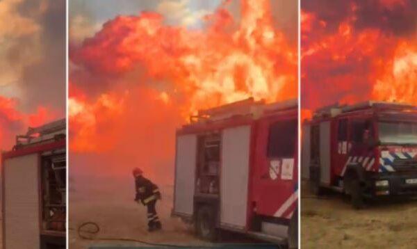 Pamje apokaliptike nga flakët në rrethinën e Tiranës  rrezikohen zjarrfikësit