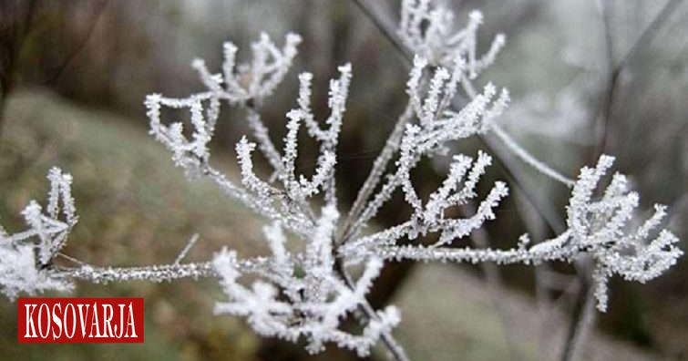 Parashikimi i motit për javën e ardhshme